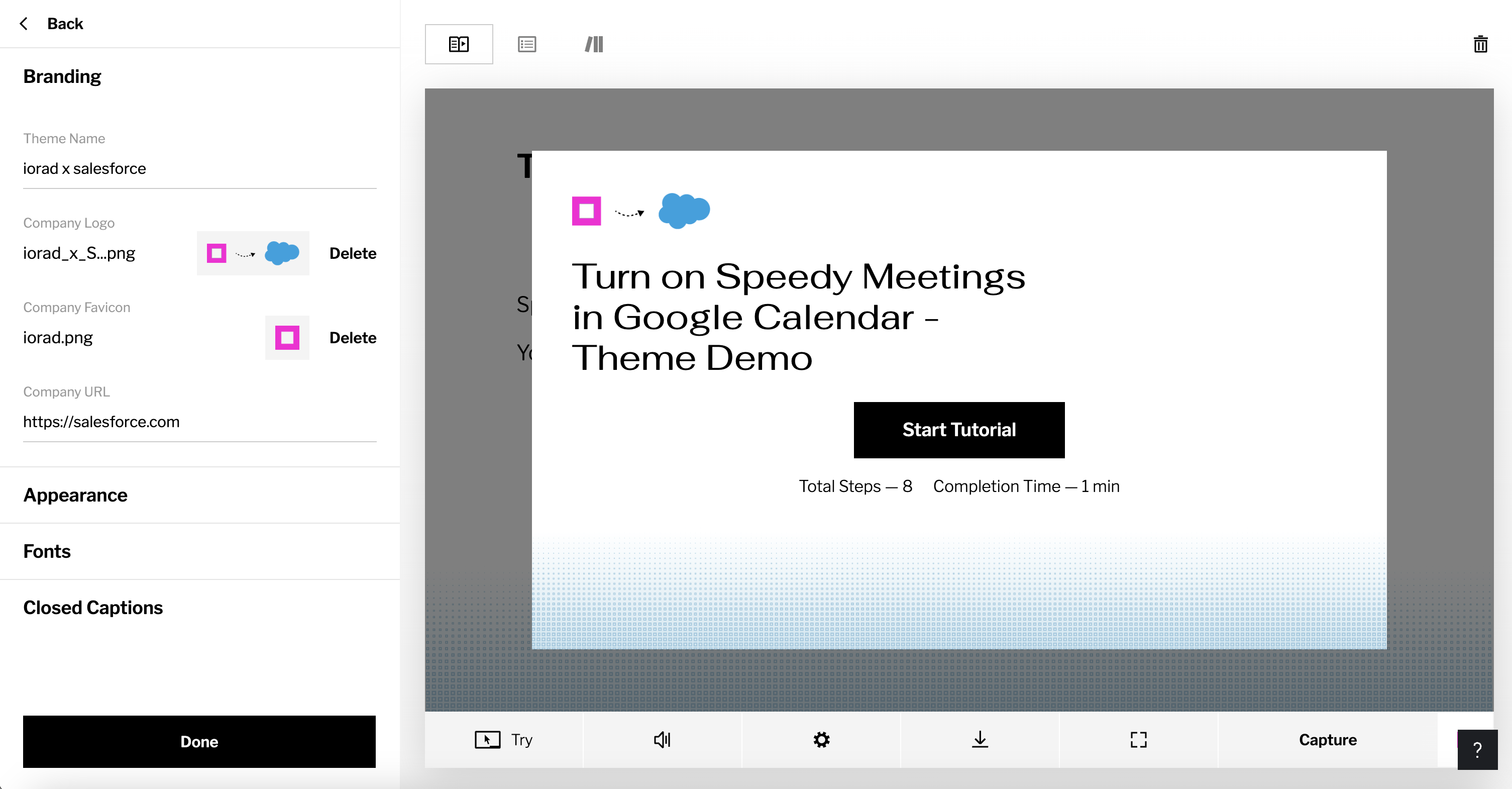 iorad Themes settings screen showing custom branding applied to a tutorial player